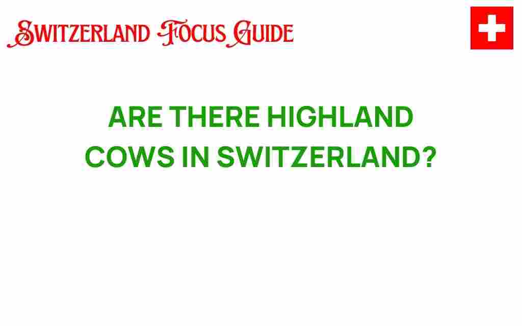discovering-highland-cows-switzerland
