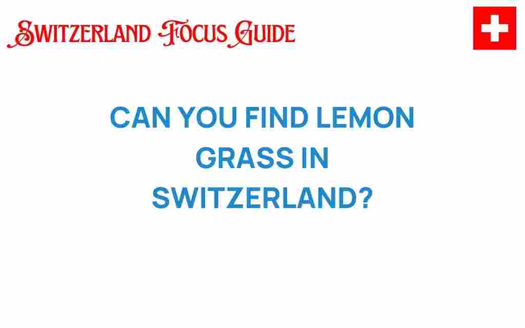 discovering-lemongrass-in-switzerland