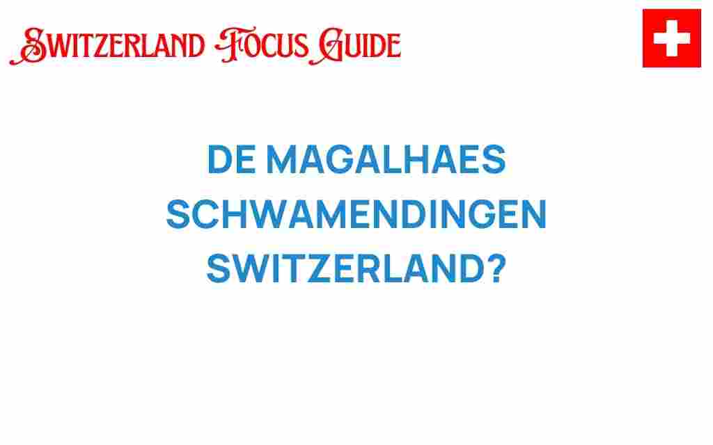 de-magalhaes-schwamendingen