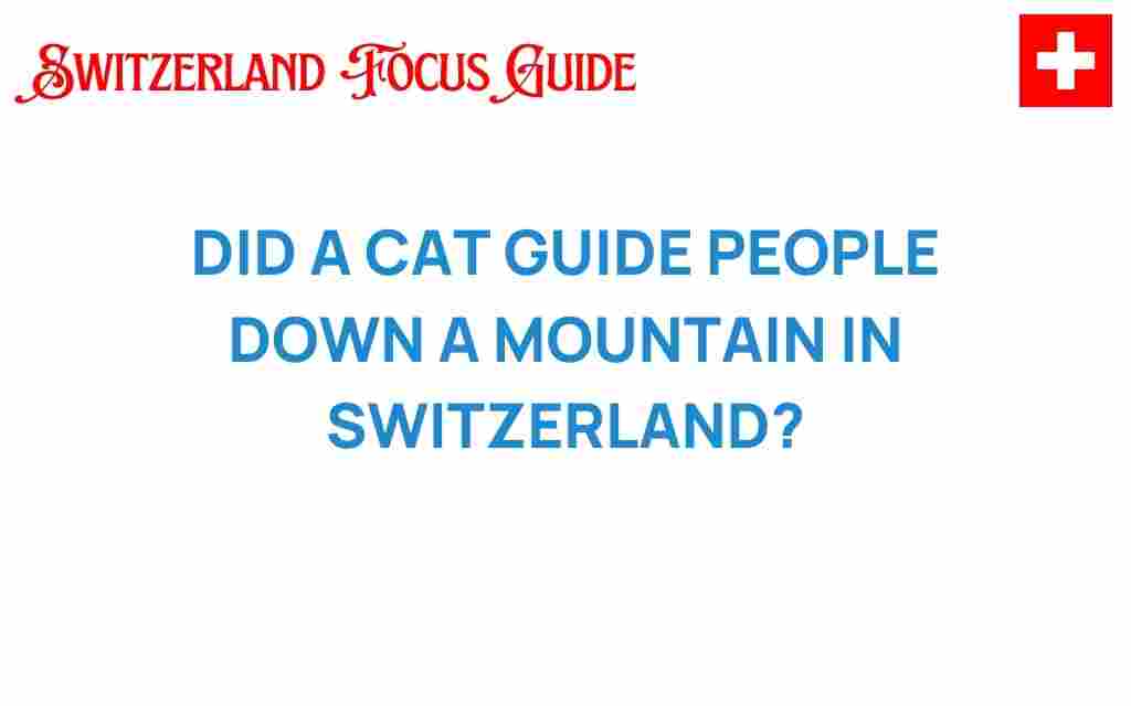 did-a-cat-guide-hikers-swiss-mountain