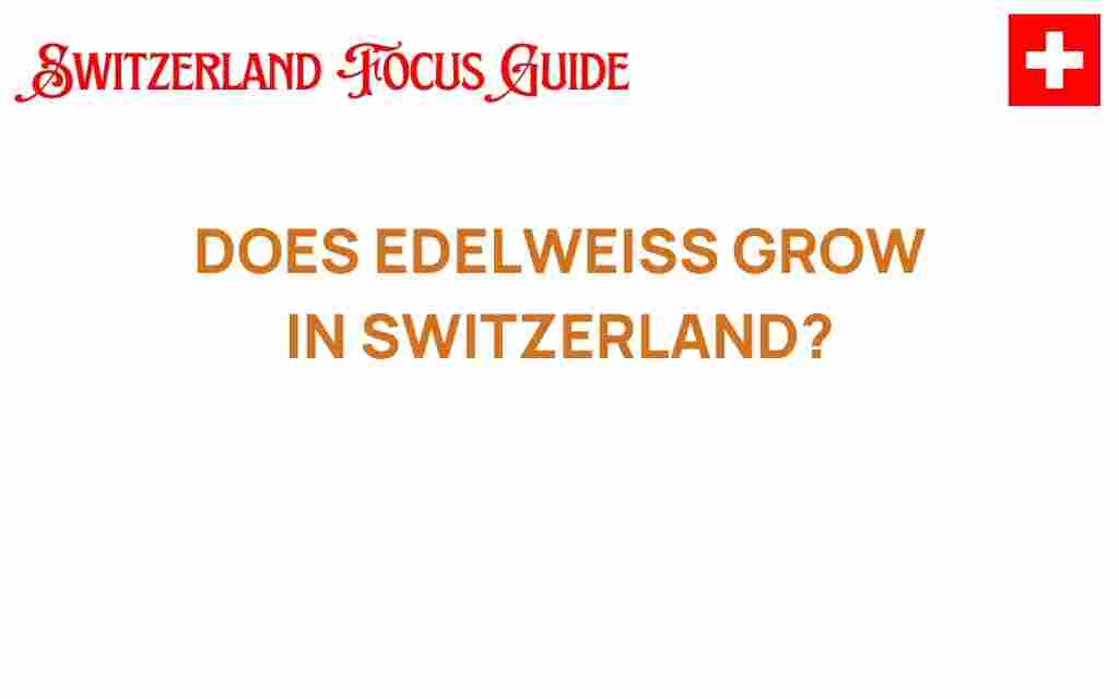 edelweiss-grow-switzerland