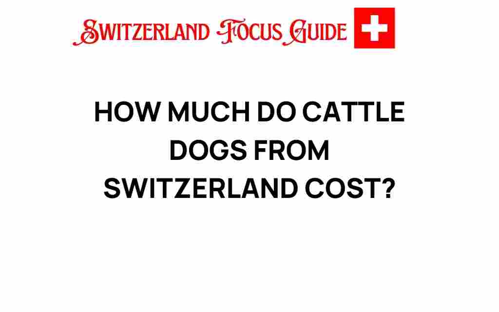 cattle-dogs-switzerland-cost