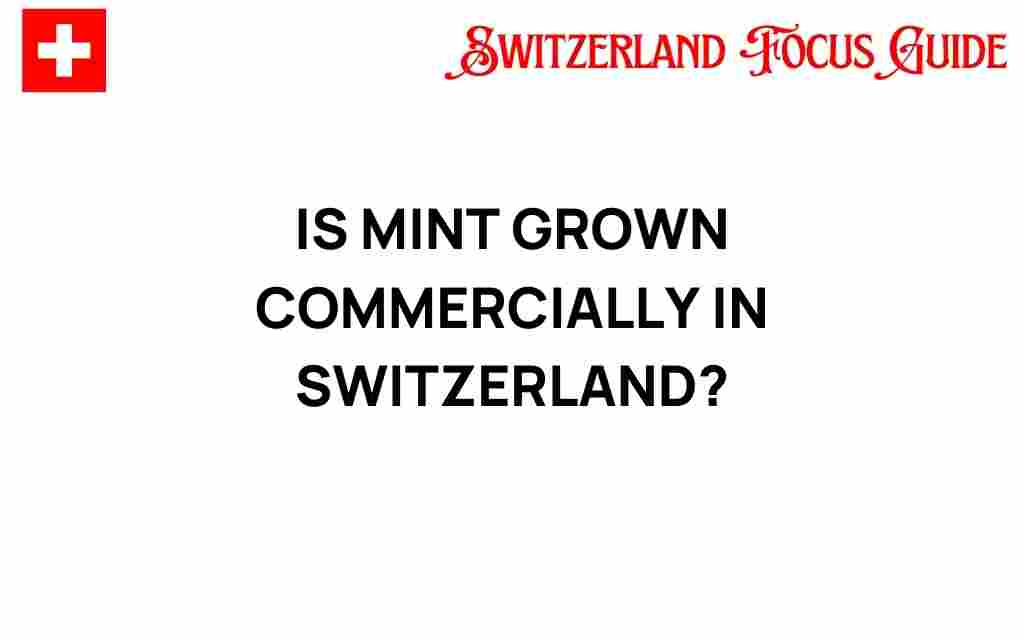 is-mint-grown-commercially-in-switzerland