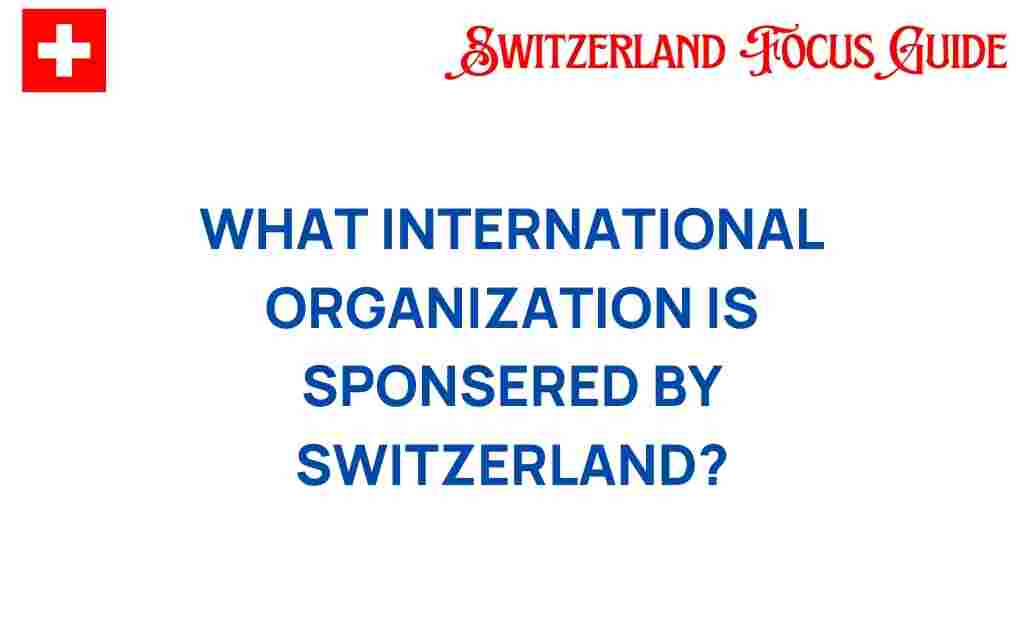 international-organization-sponsored-by-switzerland